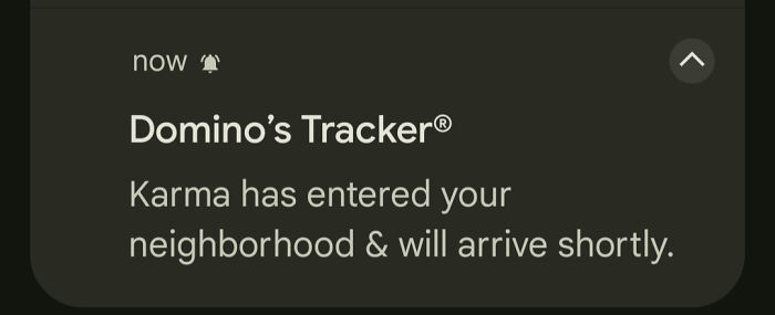 Domino's Tracker notification humorously warning of karma arrival