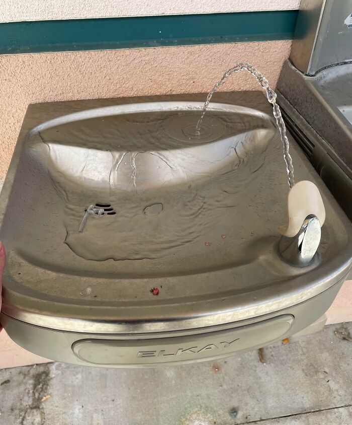 Drinking fountain design fail with water missing the basin.