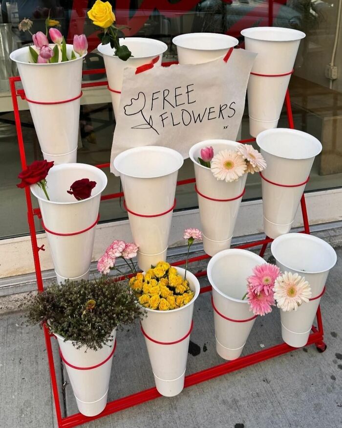 Free flowers in plastic cups on a rack, part of a stooping NYC treasure find on the curb.