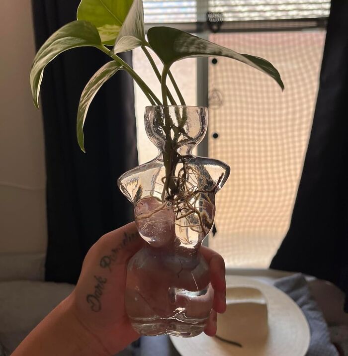 "Hand holding a clear vase shaped like a torso with plant, a random Amazon find sparking joy."