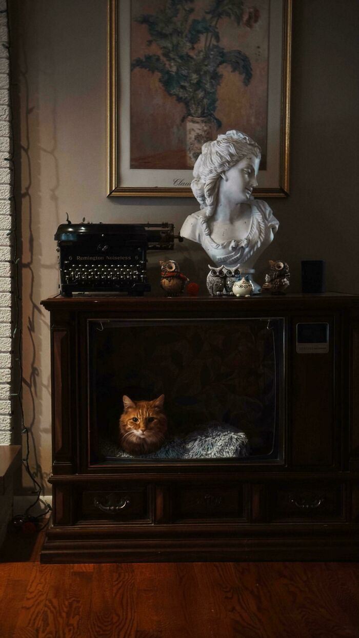 Orange cat in a retro TV set, surrounded by typewriter and bust, exudes accidental Renaissance painting vibes.