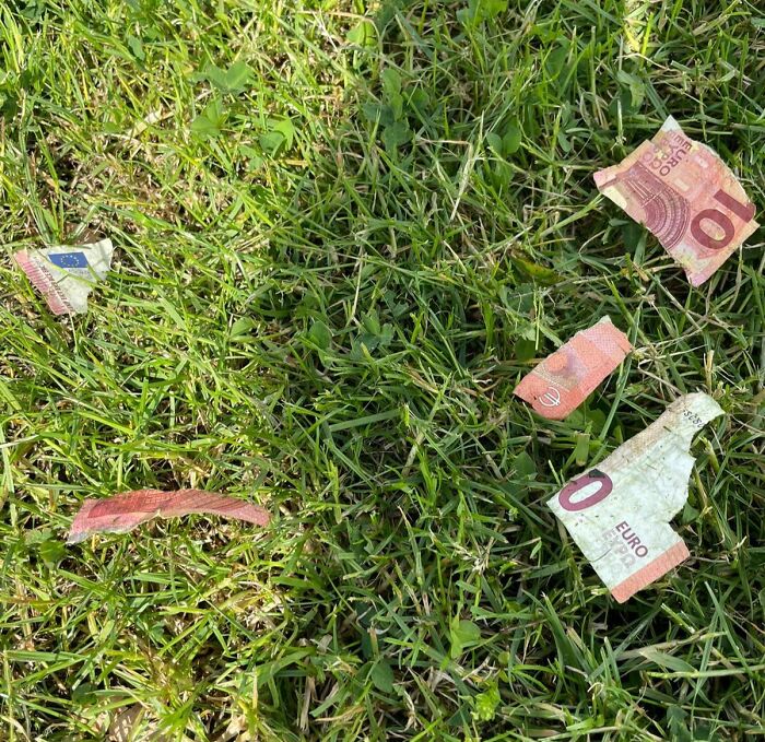 Shredded euro banknotes scattered on grass, symbolizing a super expensive accident.