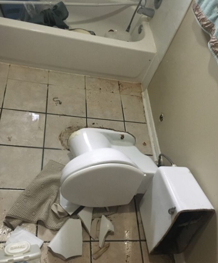 Broken toilet lying on tiled bathroom floor after a costly accident.