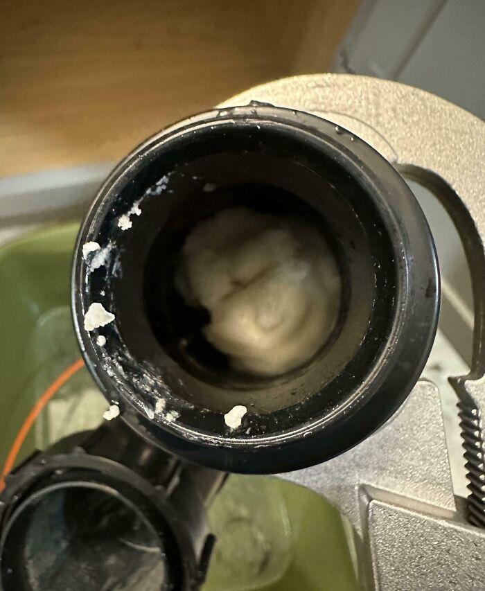 Close-up of clogged pipe showing expensive accident aftermath with white blockage inside a black fitting.