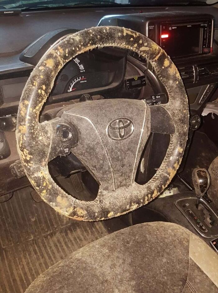 Mold-covered car interior and steering wheel, showcasing the aftermath of an expensive accident.