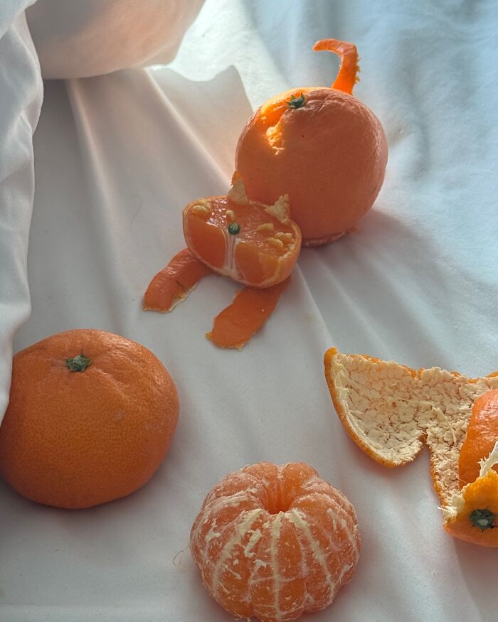 Creative Korean food art: oranges arranged as an adorable cat on white fabric.