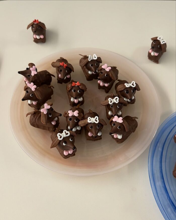 Adorable chocolate treats arranged like animals on a plate, showcasing the creativity of a Korean artist with food.