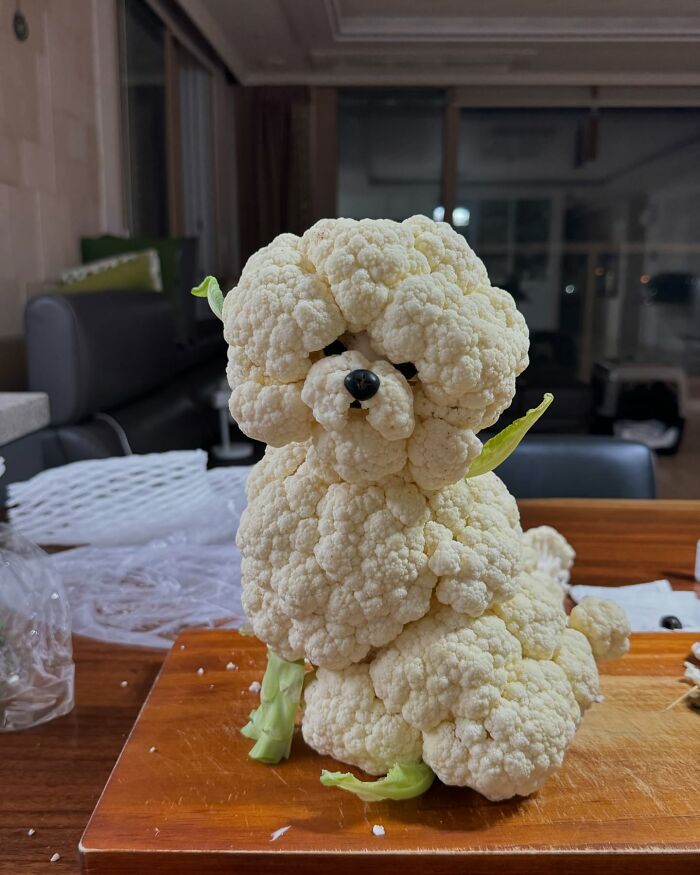 Adorable cauliflower sculpture resembling a poodle created by a Korean artist, showcasing creative food arrangement.