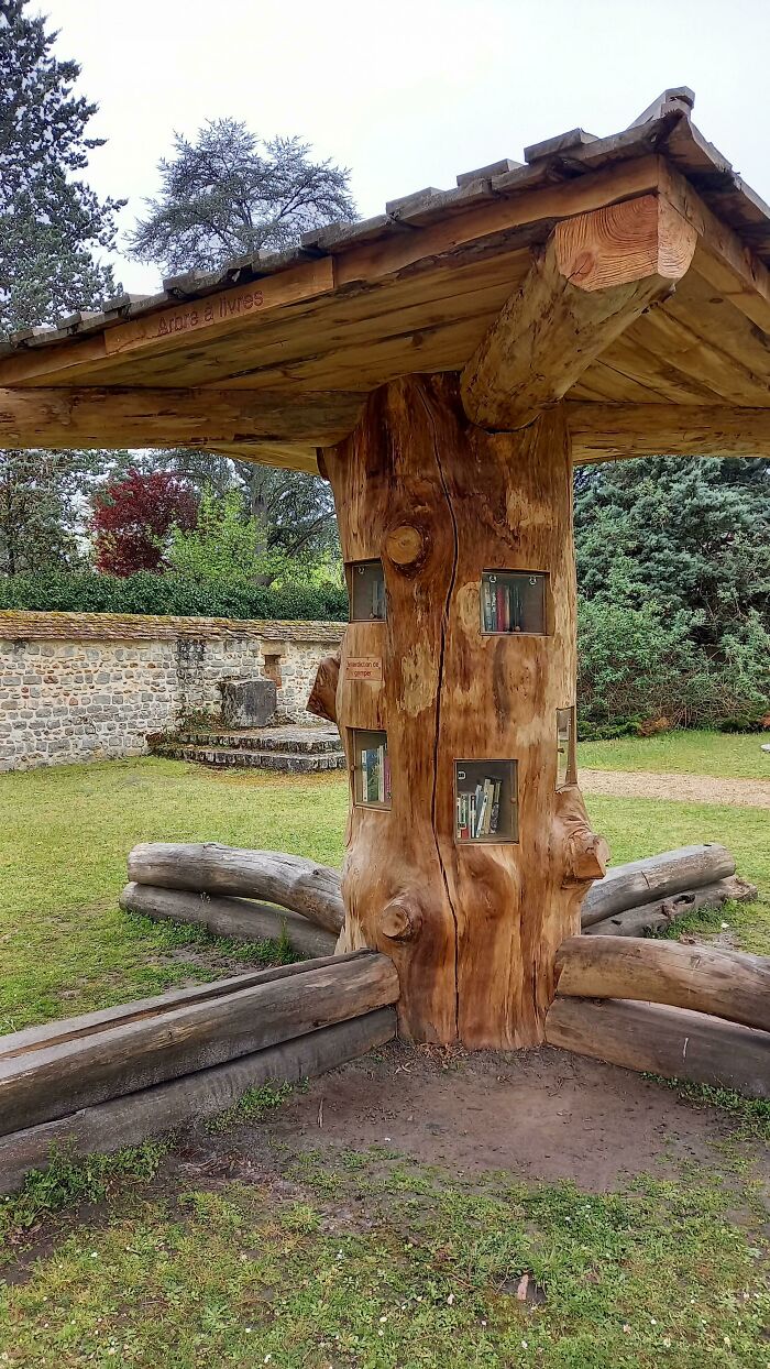 Árbol biblioteca en un parque, un detalle ingenioso introducido en la vida cotidiana de diferentes países.