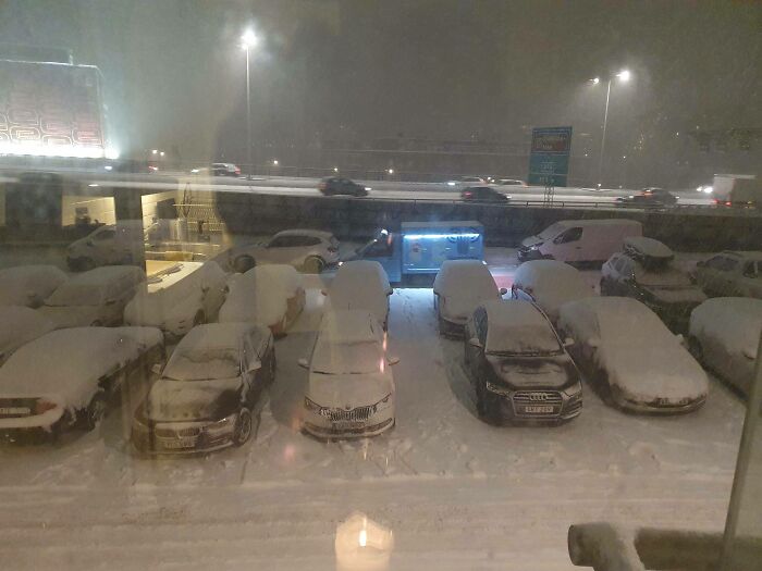 Coches cubiertos de nieve en un estacionamiento, resaltando detalles ingeniosos en la vida cotidiana de países fríos.