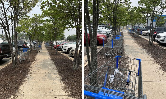 Shopping carts lined up on a sidewalk, showcasing customer cluelessness in a parking area.