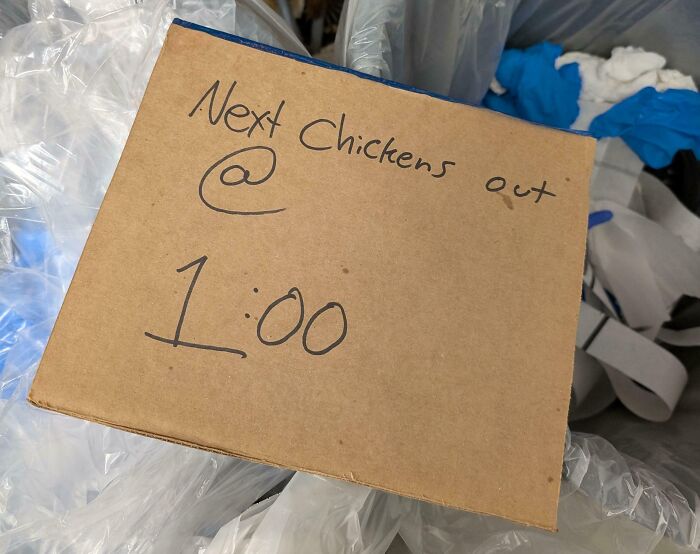 Cardboard box with handwritten note: "Next Chickens out @ 1:00," highlighting customer cluelessness in a humorous setting.