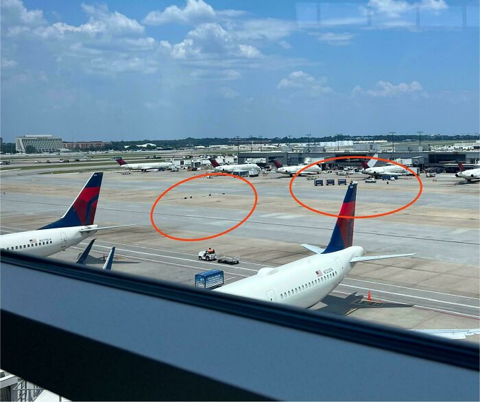 Scattered luggage on airport tarmac, visible from terminal, highlighting an airline baggage fail.
