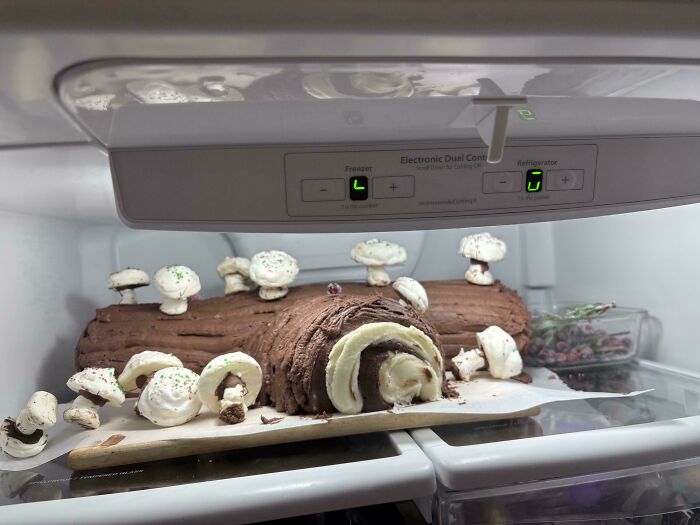 Collapsed chocolate cake log in overloaded fridge causing a messy workday.