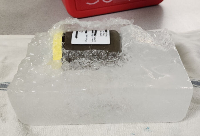 Package frozen inside a block of ice, illustrating extreme customer cluelessness.