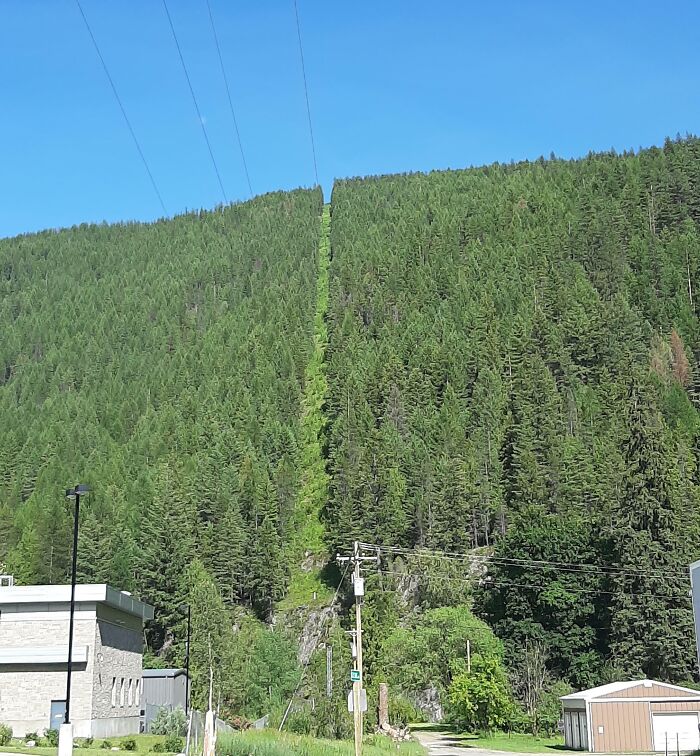 Awe-inspiring view of a straight border line cutting through dense green forest, under a clear blue sky.
