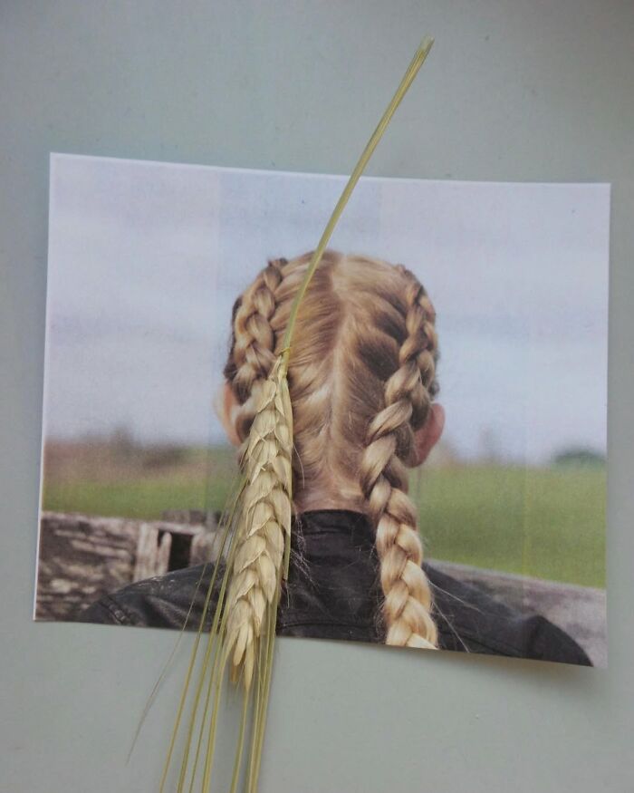 Braided hair illusion by Dudi Ben Simon, blending real wheat with a photo for a seamless fusion.