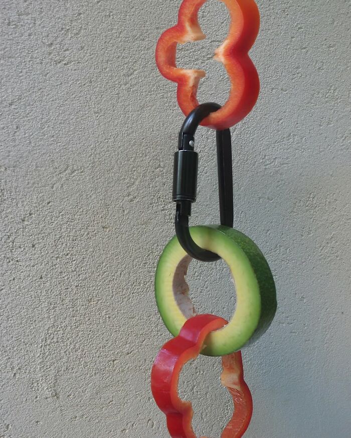 Sliced vegetables creatively linked with a carabiner, showcasing art of illusion and astonishing fusions in design.