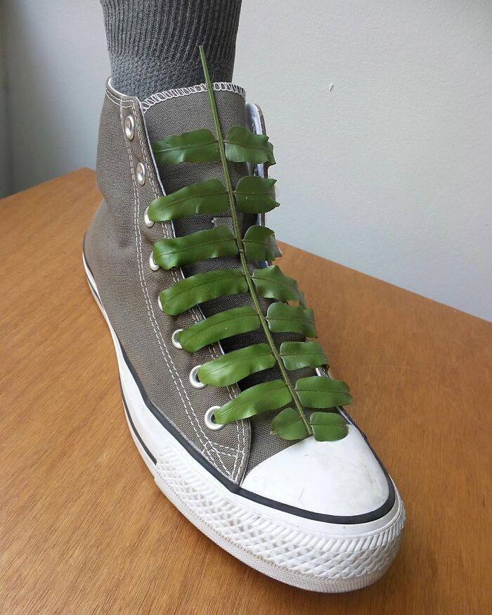 Sneaker with green plant laces, showcasing Dudi Ben Simon's art of illusion and creative fusions.