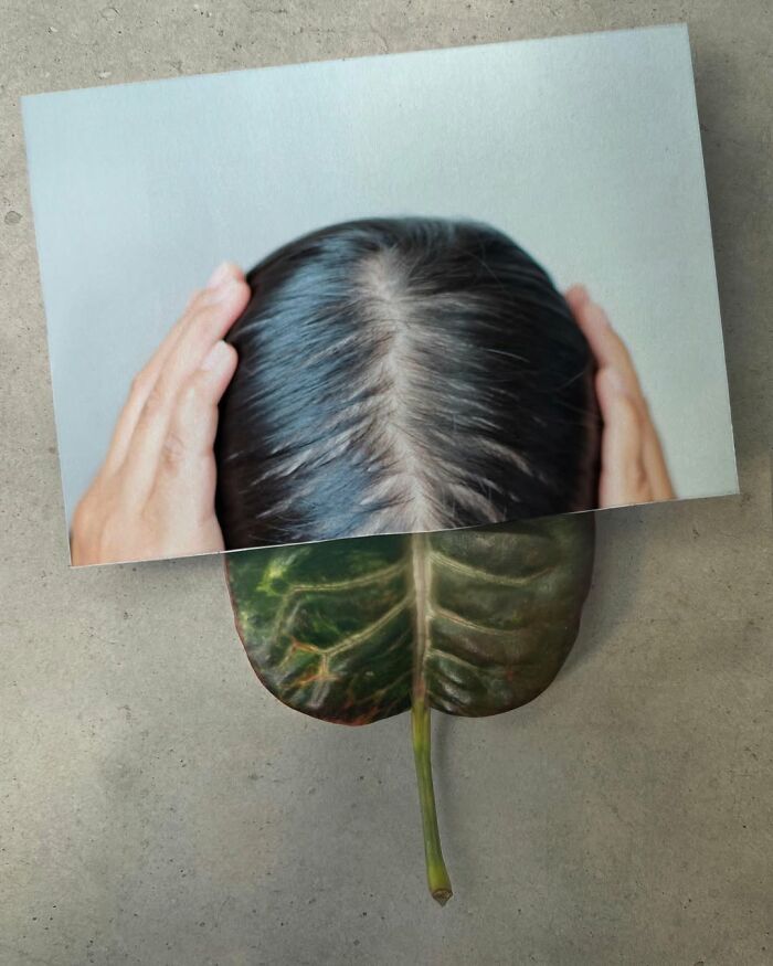 Fusion artwork by Dudi Ben Simon: a head merges seamlessly with a green leaf, creating a surreal illusion.