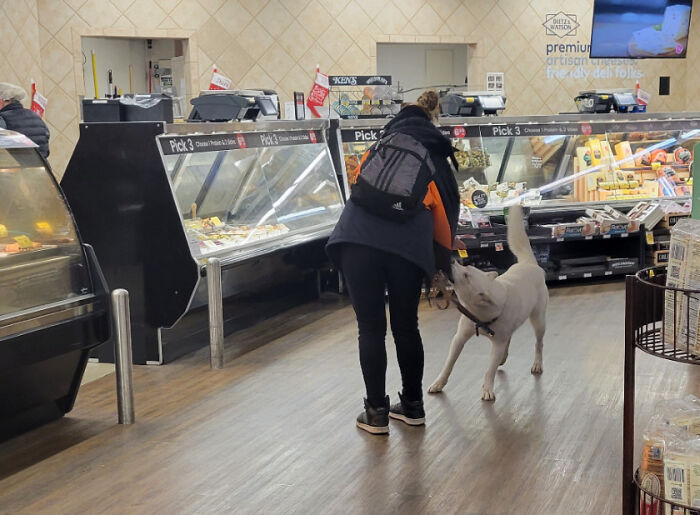 A customer with a dog in a grocery store aisle, reflecting customer cluelessness in a public place.