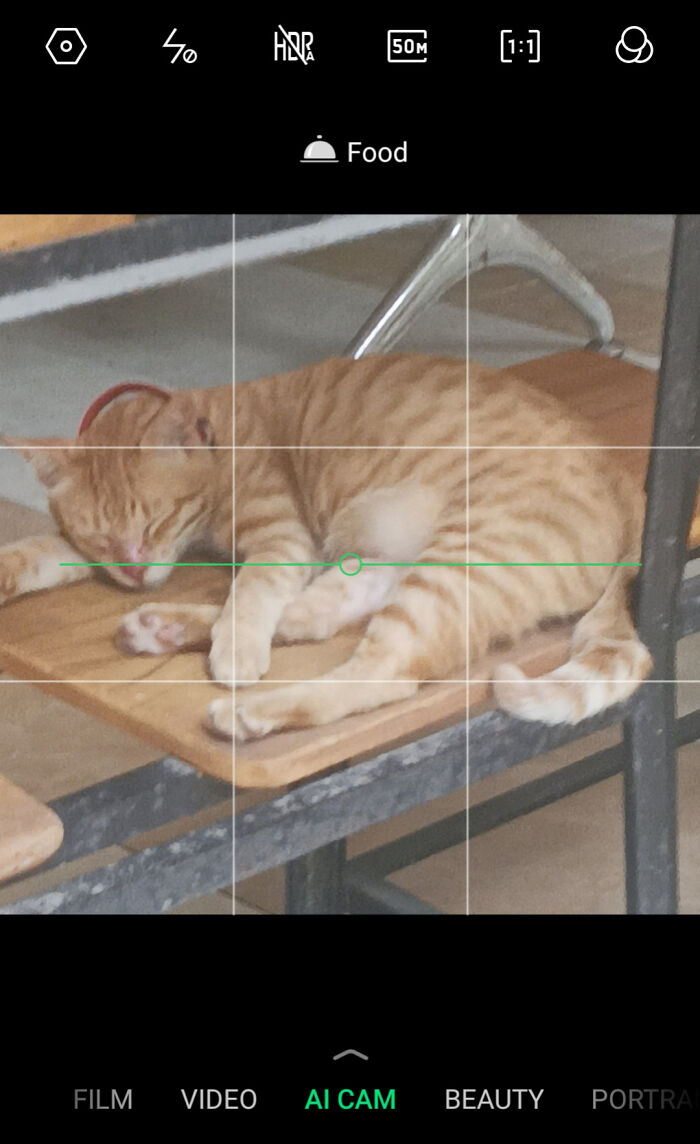 Ginger cat sleeping on a wooden table, captured through a camera viewfinder in a mundane setting.