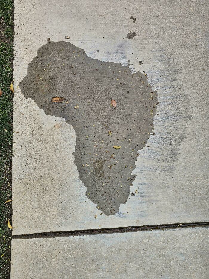 Wet patch on concrete resembling a map, with scattered leaves, illustrating uninteresting things.