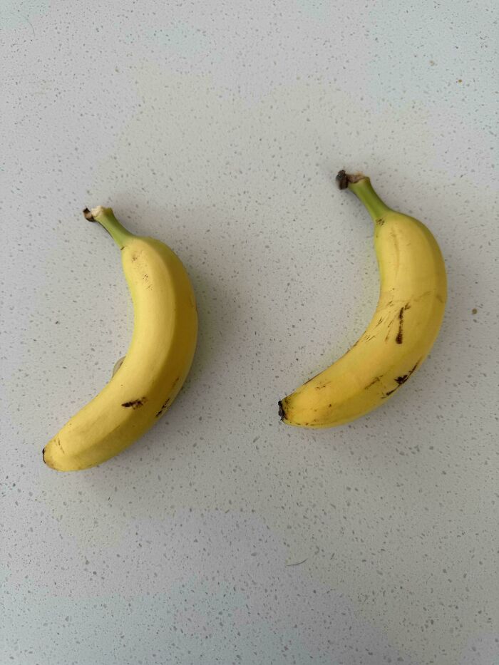 Two bananas placed on a speckled surface, illustrating mundane everyday items.