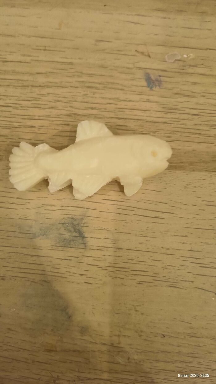 A pale fish-shaped object on a wooden surface showcasing mundane elements.