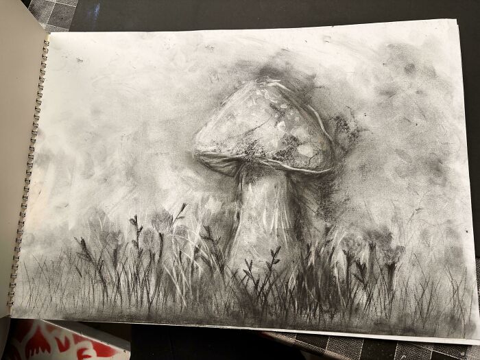 Pencil sketch of a mushroom in a field, monochrome drawing showing grass and blurred background.