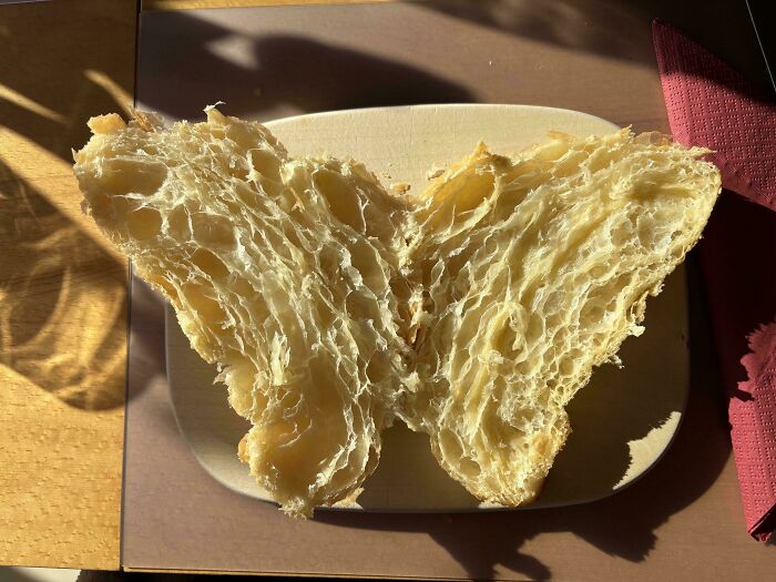 Butterfly-shaped croissant on a plate in sunlight, resembling something interesting.