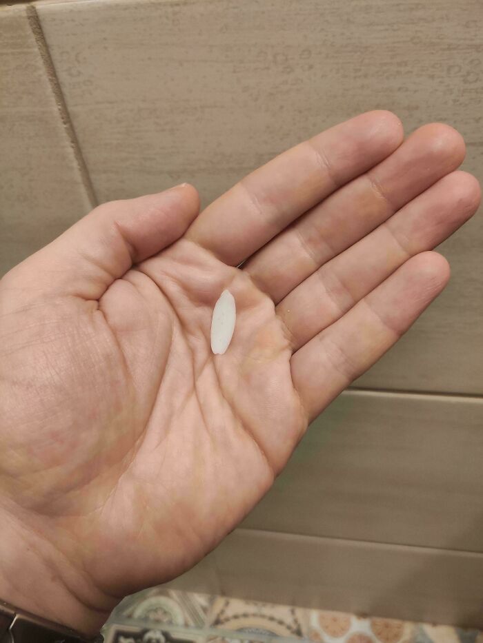 Hand holding a single grain of rice against a tiled background, showcasing simplicity and minimalism.