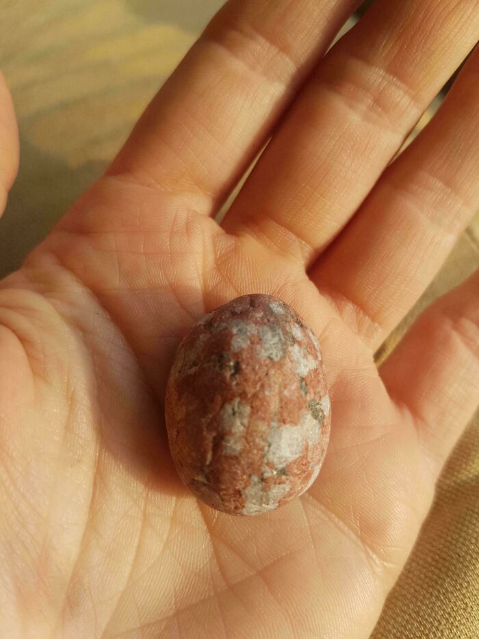 Hand holding an unremarkable egg-shaped stone.