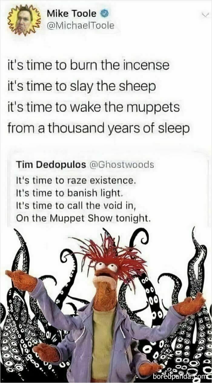 Muppet character with text overlay, featuring mental health meme humor.