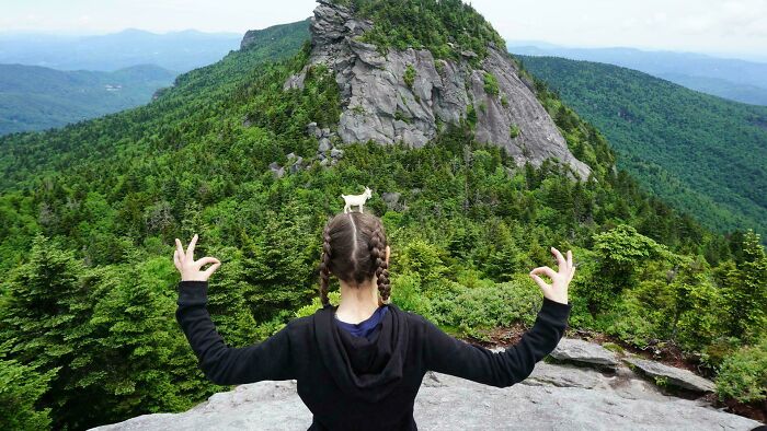 Person with braided hair posing humorously with a small goat on their head in a mountainous outdoor setting, past cringe moment.