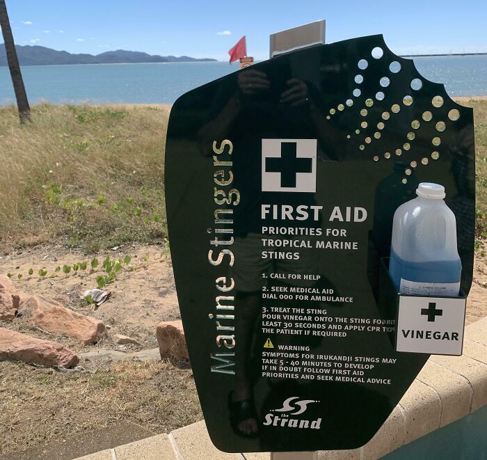 Señal de primeros auxilios para picaduras marinas, con botella de vinagre en la costa, destacando detalles ingeniosos.