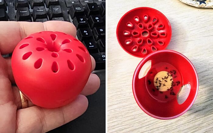 Red apple-shaped device in hand; open with ants inside, trapping solution for spring use.