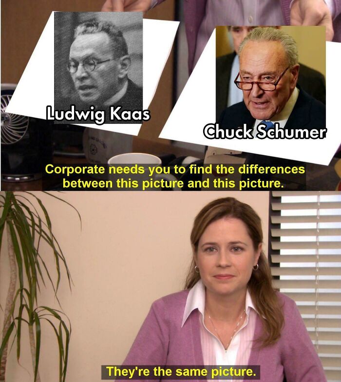 Scene from The Office meme with a woman comparing two images labeled Ludwig Kaas and Chuck Schumer, highlighting failed attempts.