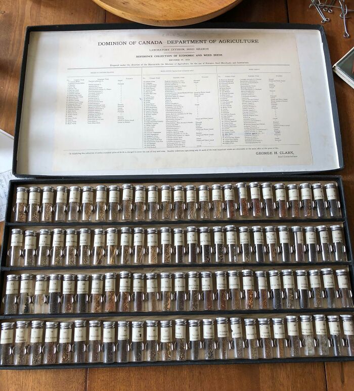 Collection of historical seed samples from Dominion of Canada, Department of Agriculture.