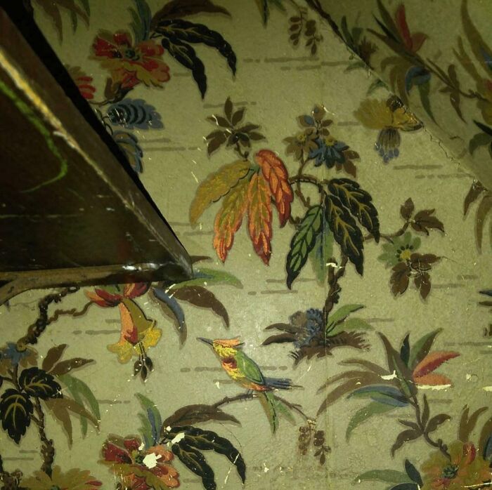 Old wallpaper with colorful birds and leaves, an artifact found in a house, showcasing intricate vintage design.