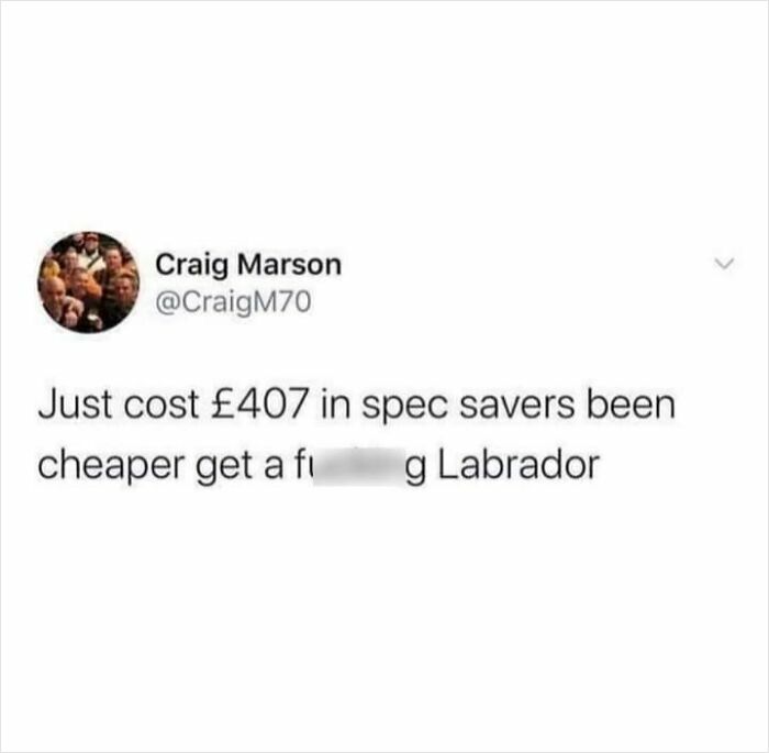 Scottish humor post about eyewear expense versus getting a Labrador.