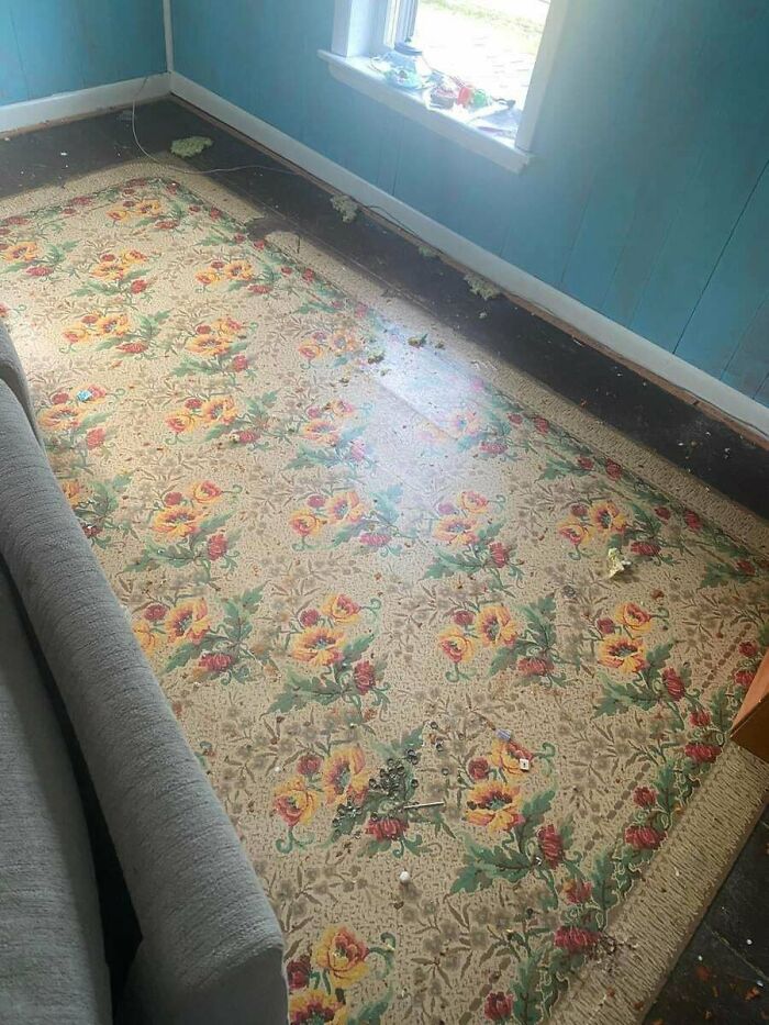 Vintage floral carpet discovered under couch in old house, showcasing unique artifacts from the past.