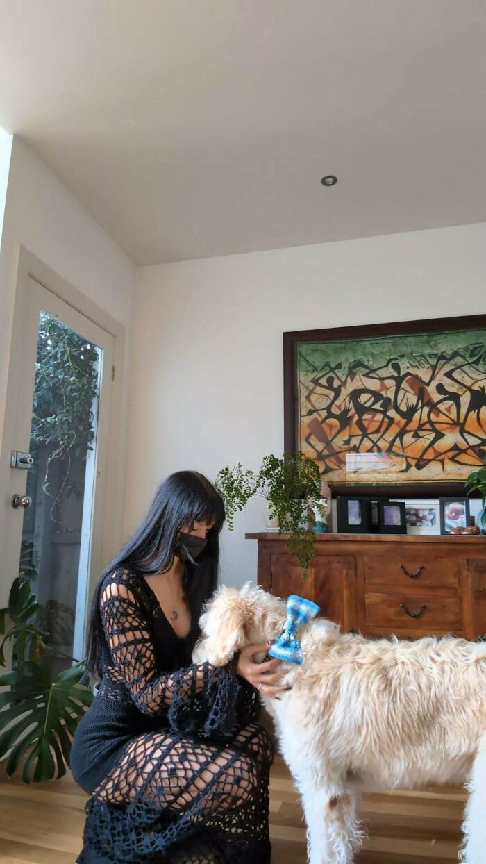 Woman wearing a black crochet dress kneeling and petting a dog with a blue crochet bow in a cozy room.