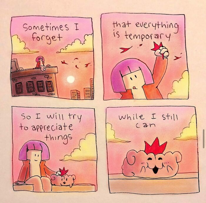 Comic strip from 62 Comics showing a character reflecting on appreciating temporary moments with a pet at sunset.