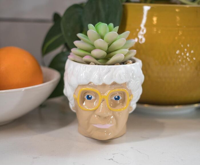 80s inspired planter shaped like a face with glasses, holding a succulent, evokes nostalgic memories for grown-up kids.