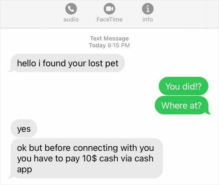Text message scam involving a lost pet, asking for $10 via Cash App.
