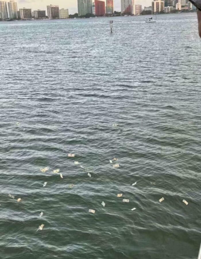 Floating money seen on a body of water with city skyline, highlighting wealth disparities.
