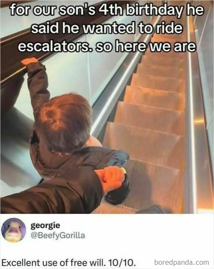 Child enjoying escalator ride for birthday; example of sarcasm sodality, praised for original choice.