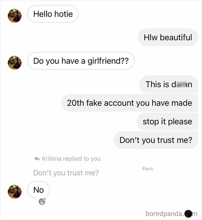 Text message exchange meme with sarcastic humor about fake accounts and trust issues.