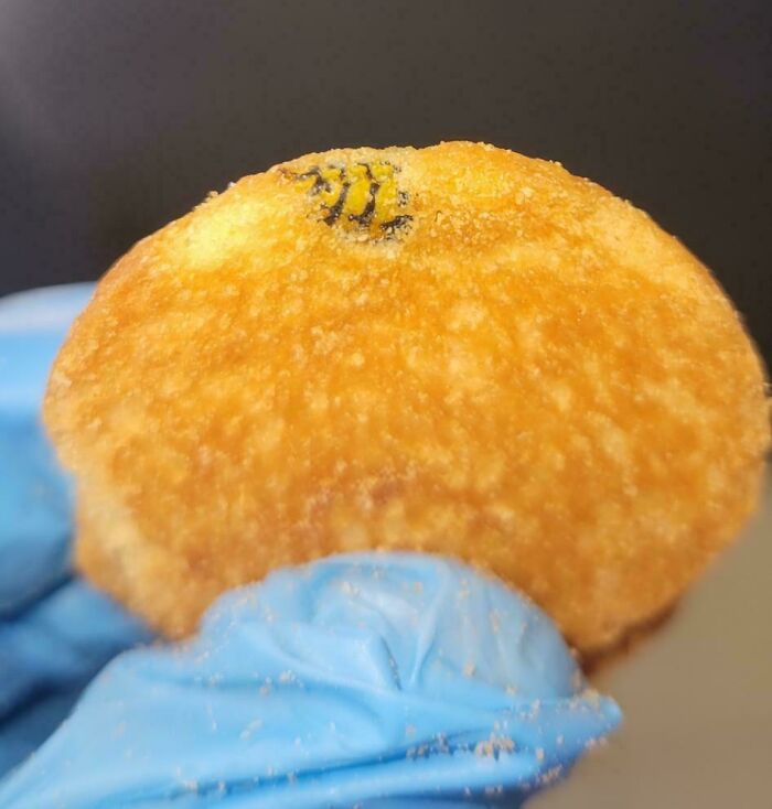 A person holding a cookie with a dead bee inside, highlighting a shocking food discovery.